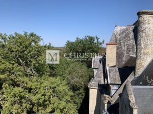 À vendre château du 19ème plein de caractère avec chapelle privée entre Bourges et Nevers