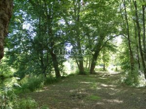 Magnifique château Renaissance près d'Angoulême