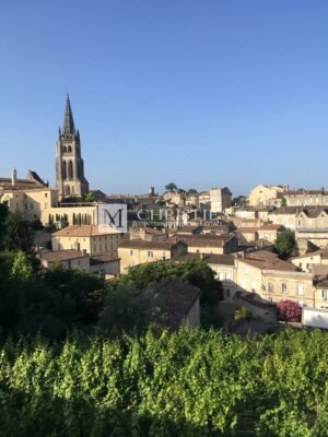 Real estate complex to renovate in the heart of Saint-Emilion