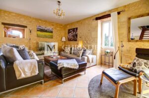 Dordogne Manor House with 2 guest houses, 2 pools