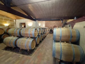 For sale 12 hectare vineyard estate with house to renovate
