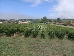 For sale 12 hectare vineyard estate with house to renovate
