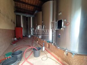 For sale 12 hectare vineyard estate with house to renovate