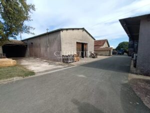 For sale 12 hectare vineyard estate with house to renovate