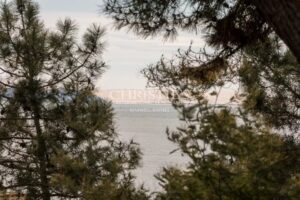 Villa en 1ère ligne au Cap Ferret