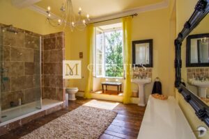 A vendre, magnifique château avec 4 gîtes et piscines près d'Eymet