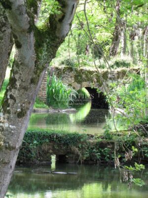 Deux-sévres – Magnificent castle for sale
