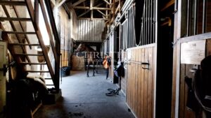 Vente domaine équestre près de Poitiers