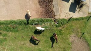 Vente domaine équestre près de Poitiers