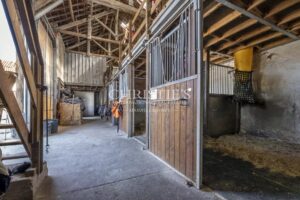 Vente domaine équestre près de Poitiers