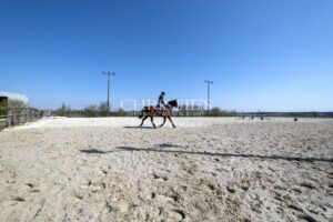 Vente domaine équestre près de Poitiers