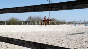 Vente domaine équestre près de Poitiers