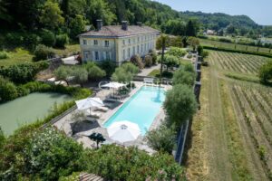 Sale Chateau in Bordeaux. Hobby Vineyard