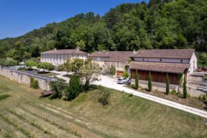 Sale Chateau in Bordeaux. Hobby Vineyard