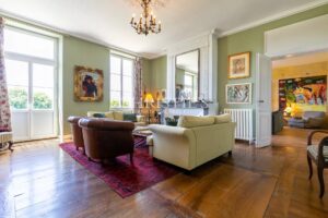 Sale Chateau in Bordeaux. Hobby Vineyard