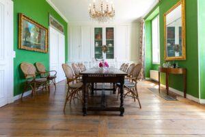 Sale Chateau in Bordeaux. Hobby Vineyard