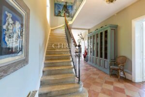 Sale Chateau in Bordeaux. Hobby Vineyard