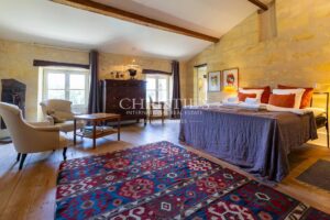 Sale Chateau in Bordeaux. Hobby Vineyard