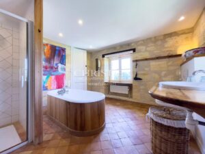 Sale Chateau in Bordeaux. Hobby Vineyard