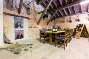 Sale Chateau in Bordeaux. Hobby Vineyard