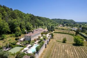 Sale Chateau in Bordeaux. Hobby Vineyard