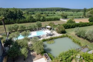 Sale Chateau in Bordeaux. Hobby Vineyard