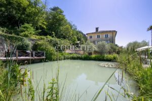 Sale Chateau in Bordeaux. Hobby Vineyard