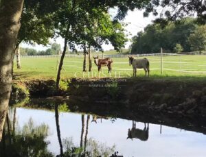 Magnifique moulin dans un cadre exceptionnel