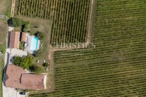 Attractive 3.21 ha vineyard near Bordeaux - Turnkey!