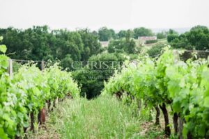 Attractive 3.21 ha vineyard near Bordeaux - Turnkey!