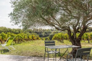 Attractive 3.21 ha vineyard near Bordeaux - Turnkey!