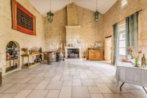 Attractive 3.21 ha vineyard near Bordeaux - Turnkey!