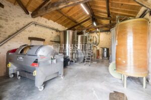 Attractive 3.21 ha vineyard near Bordeaux - Turnkey!