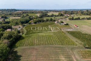 Attractive 3.21 ha vineyard near Bordeaux - Turnkey!