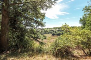 Beau château avec maison d'ami dans la campagne de l'Agenais