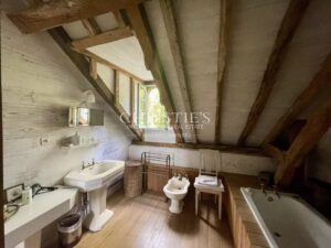 Charming mill house with guesthouse and gardens set in 4.25 hectares between Saumur and Angers