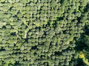 Manoir fortifie s'étendant sur 35 hectares, principalement boisés