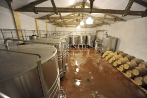 Lovely vineyard - 33 ha of land - 19 ha of vines in organically farmed - beautiful location