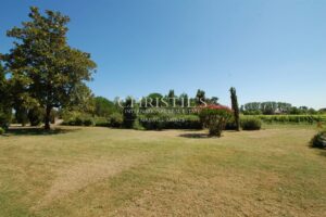 Lovely vineyard - 33 ha of land - 19 ha of vines in organically farmed - beautiful location