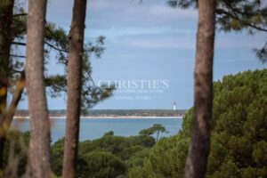 Magnifique villa Gaume avec vue Bassin et grand terrain arboré
