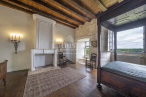 Exclusive Sale: Exceptional Château with Outbuildings near Angoulême