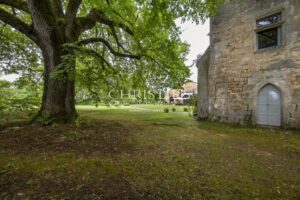 Exclusive Sale: Exceptional Château with Outbuildings near Angoulême