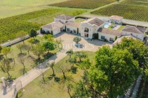 Impressive 6.5 ha estate - AOC Haut Médoc vineyard - Wine tourism