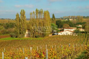 Turnkey 9-hectare vineyard estate