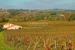 Turnkey 9-hectare vineyard estate