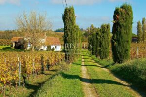 Turnkey 9-hectare vineyard estate
