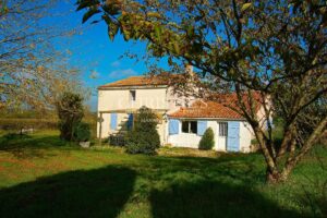 Turnkey 9-hectare vineyard estate