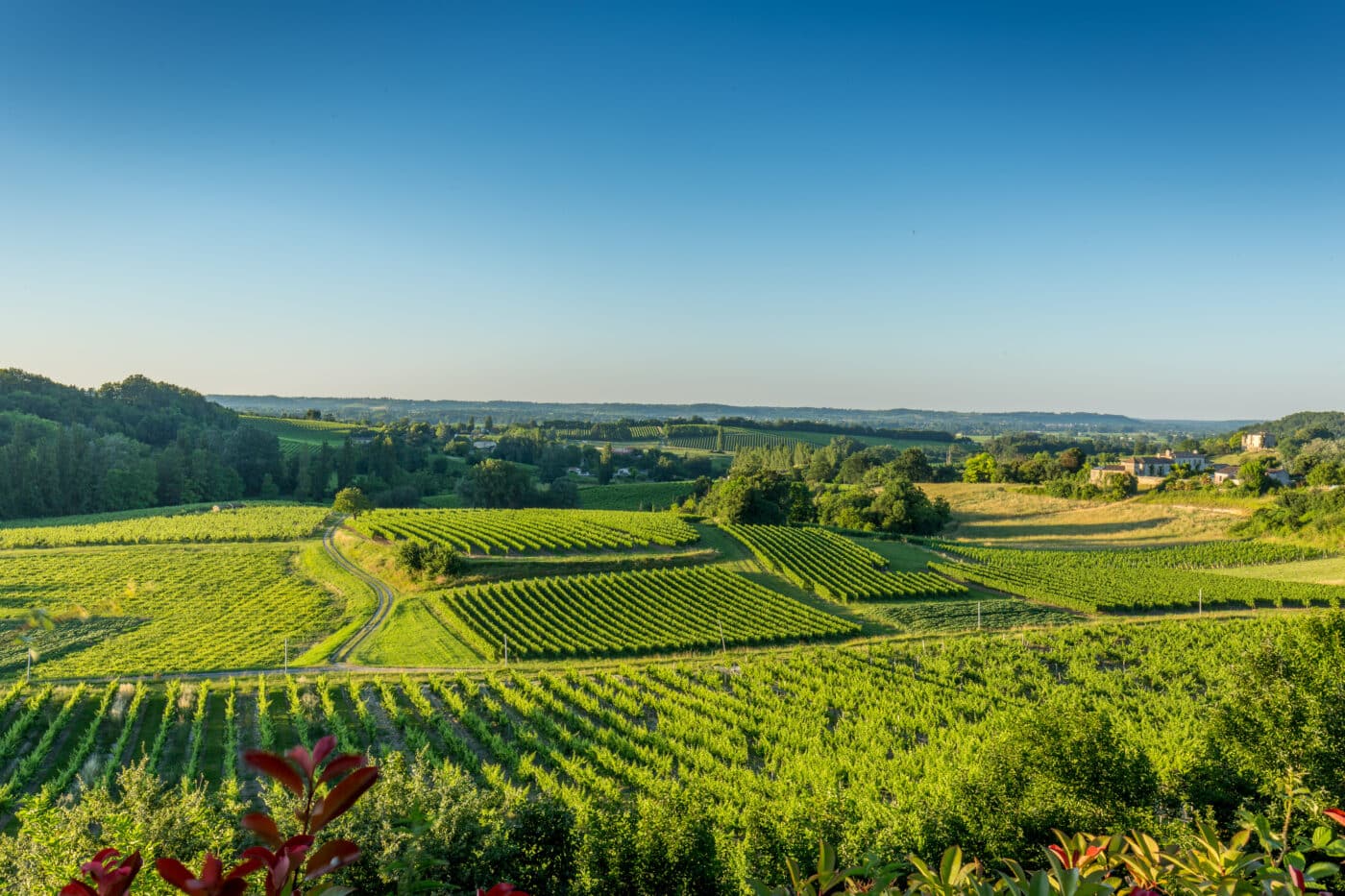 Unveiling the Secrets of the Charente: 5 Fascinating Facts about Cognac