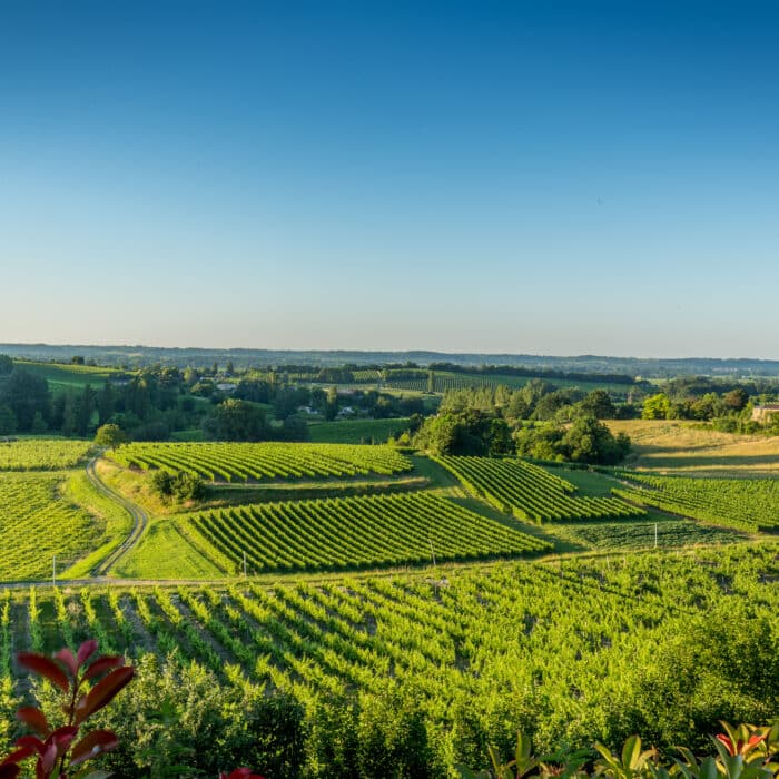 Unveiling the Secrets of the Charente: 5 Fascinating Facts about Cognac