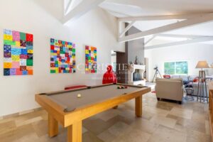 Beautiful riverside mill and contemporary house Dordogne